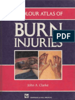 Chapmann & Hall - A Color Atlas of Burn Injuries (1992) PDF
