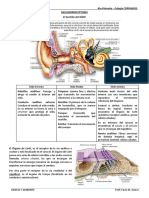 Mecanorreceptores