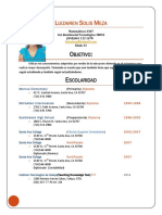 Curriculum Vitae Luiza