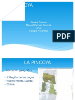 La Pincoya 4