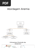Abordagem Anemia