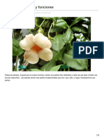 ceibal.elpais.com.uy-Las plantas partes y funciones.pdf
