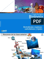 Clase 3 Biomoléculas Orgánicas Carbohidratos y Lípidos (1)