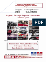 Rapport Peugeot Citroen Central Garage