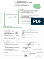 Field Guide to Tree Identification