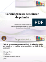 Carcinogénesis Del Cancer de Pulmón