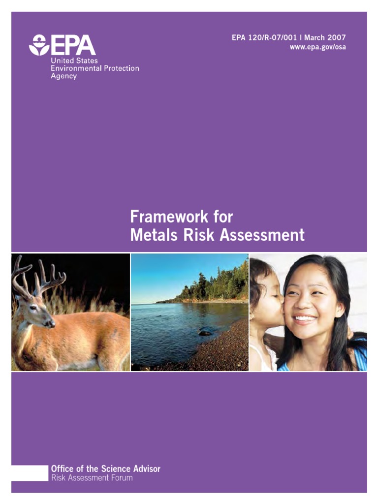 Metals Risk Assessment PDF PDF Risk Assessment United States