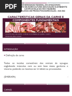 Características Gerais Da Carne e Componentes Fundamentais