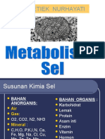 Metabolisme Sel