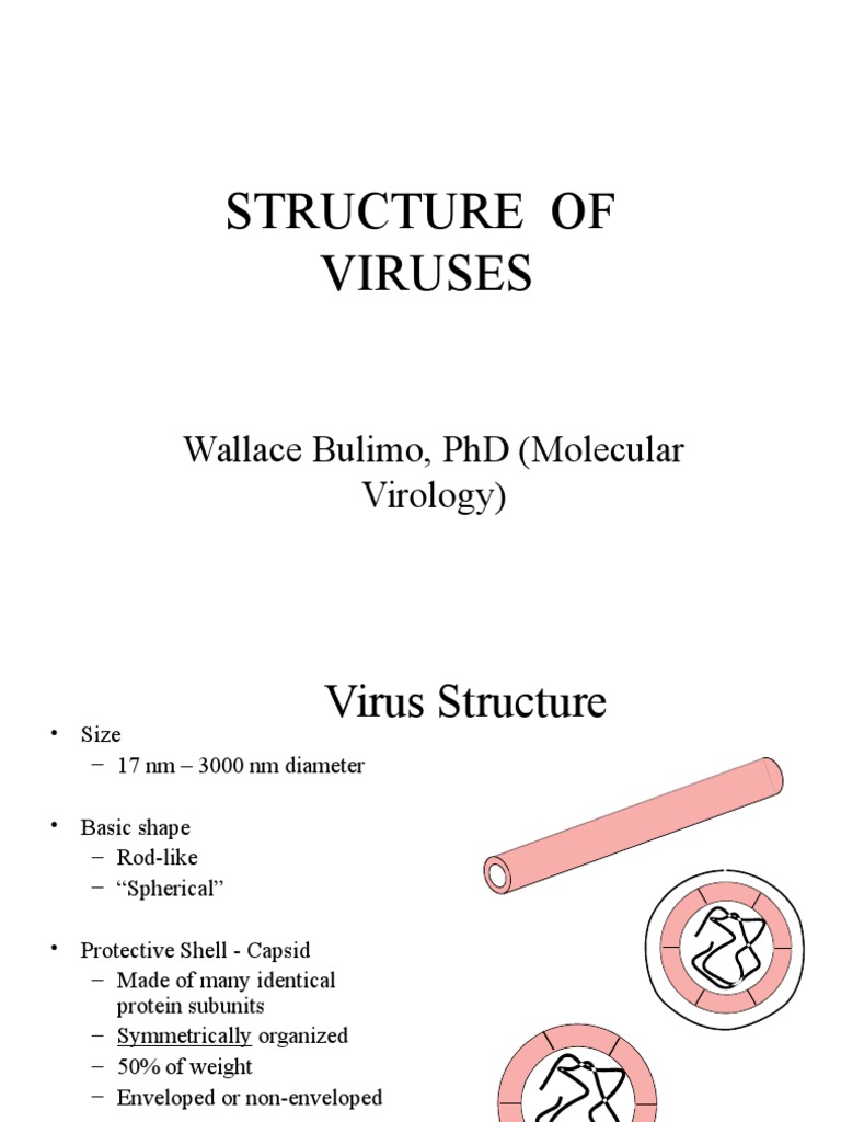 Virus Structure and Replication | PDF | Virus | Sense (Molecular Biology)
