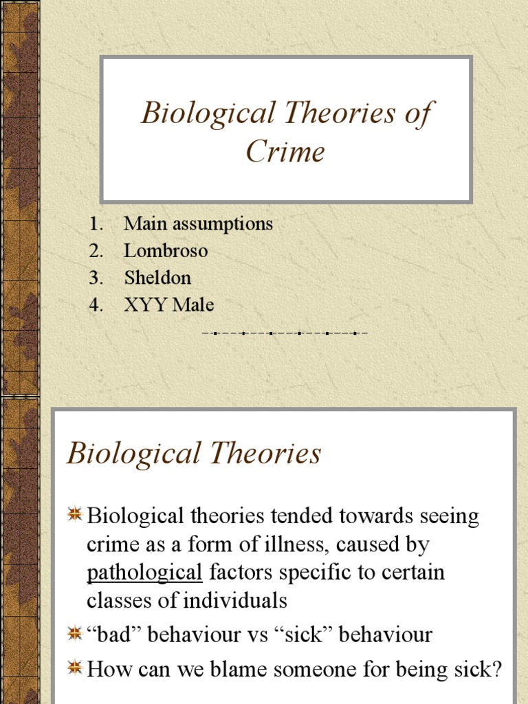 Biological Theories of Crime | PDF | Crime & Violence | Crime Thriller