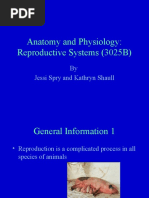 Goat Reproductive Anatomy Overview | PDF | Testicle | Reproductive System
