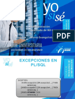 Excepciones en Oracle