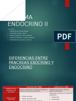 Sistema Endocrino II