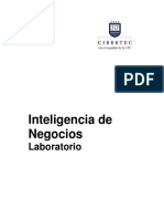 Inteligencia de Negocios Laboratorio.pdf