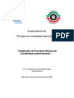 Principios_Basicos_de_Contabilidad_Gubernamental.pdf