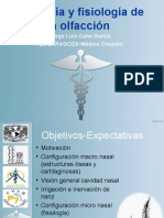 Anato y fisio olfacion.ppt