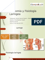 Anatomía y Fisiología Laríngea