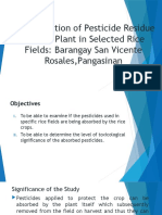 Determination of Pesticide Residue On Rice Plant in Selected Rice Fields: Barangay San Vicente Rosales, Pangasinan