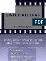 7 - Sistem Refleks