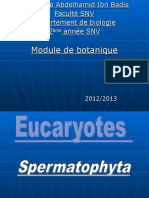 Spermaphytes 1