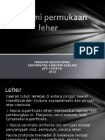 Anatomi Permukaan Leher