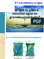 Las Plantas y El Agua I