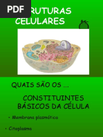 aula estruturas celulares