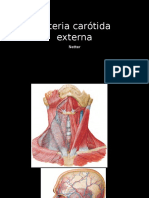 Arteria carótida externa.pptx