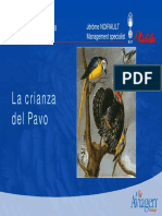 39 20120508 Jerome Noirault Conceptos Basicos Sobre La Crianza Del Pavo PDF