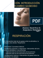 Ventilacion Pulmonar (Histologia)