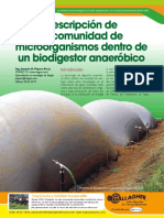 Descripción de La Comunidad de Microorganismos Dentro de Un Biodigestor Anaeróbico