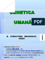 Genetica Umană