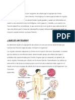 142744548-TEJIDOS-HUMANOS-ORGANOS-APARATOS-Y-SISTEMAS-pdf.pdf