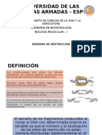 Enzimas de Restricción