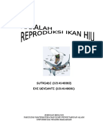 Makalah Reproduksi Ikan Hiu