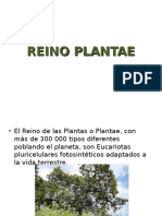 Reino Plantae