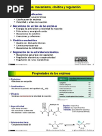 enzimas.pdf
