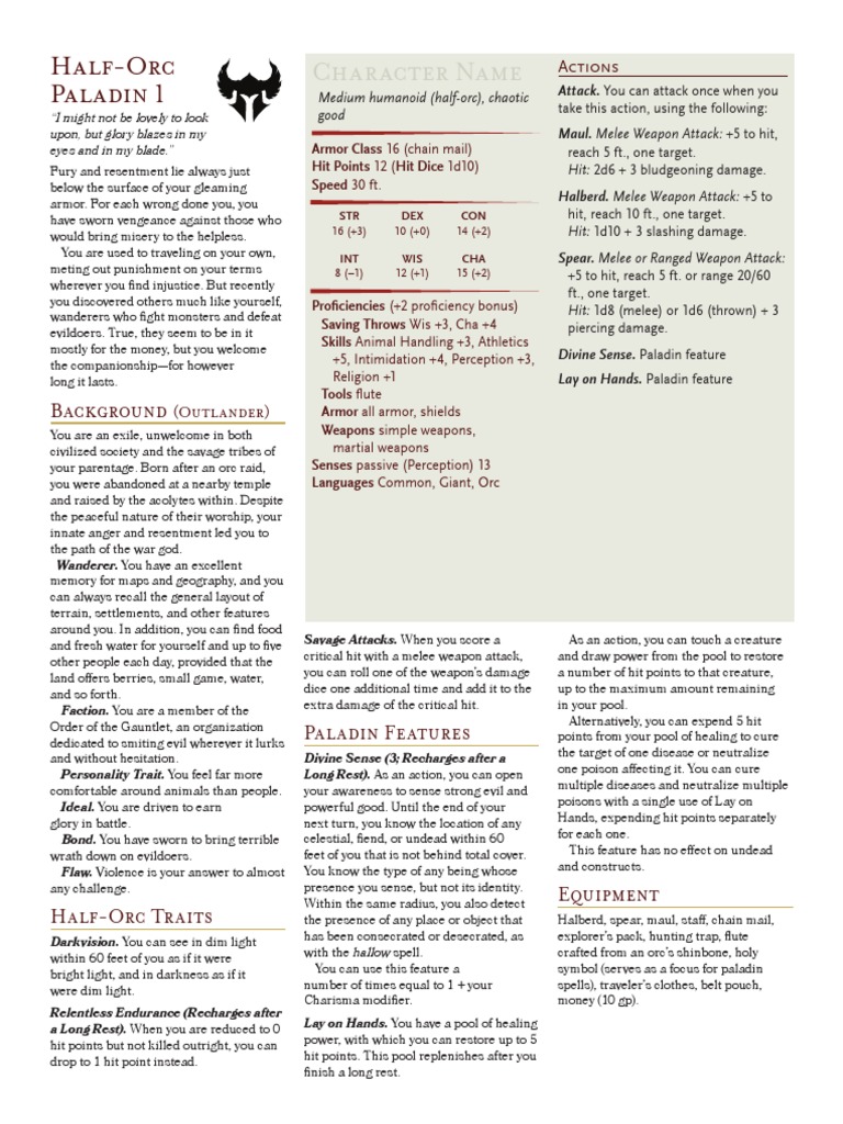 Half-Orc Paladin 1: Character Name | PDF | Leisure