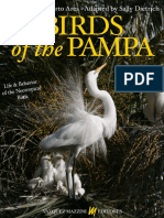 Bird of Pampa PDF