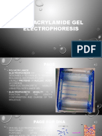 Polyacrylamide Gel Electrophoresis