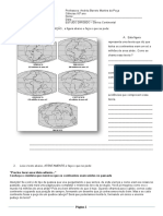 derivacontinental-120930125551-phpapp01.pdf
