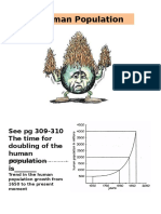 human population