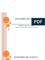 Anatomía de Cuello, Torax y Neuro