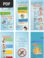 Pediculosis triptico informativo