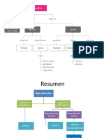 Diagramas de Flujo