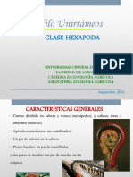 5-Presentación Clase Hexapoda Única 2010.pdf