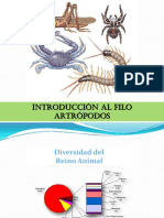 2-Clase de Artrópodos 2010 PDF