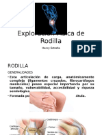 Exploración Física de Rodilla