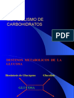 Metabolismo de Carbohidratos